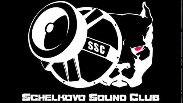 Pride car Audio наклейка Лев