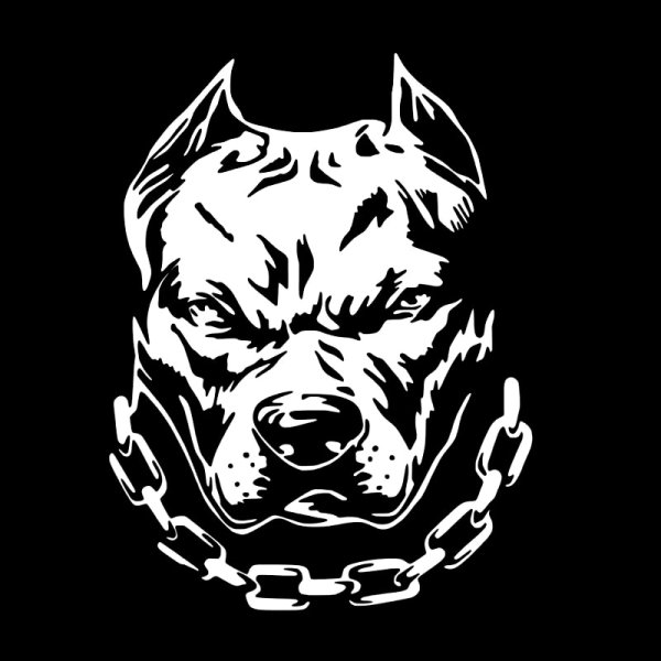 Питбуль картинки на аву