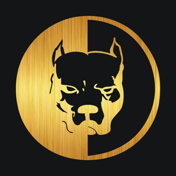 Эрик Давидыч питбуль