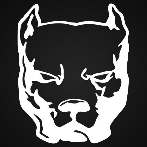 Наклейка питбуль