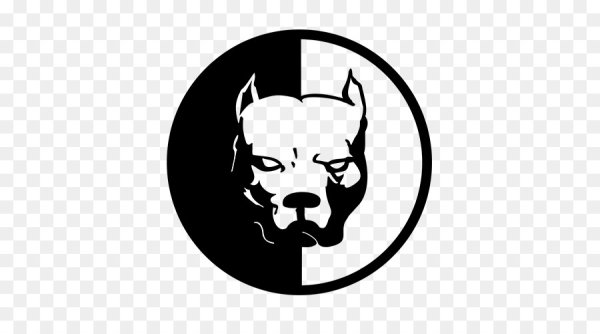 Питбуль Давидыча