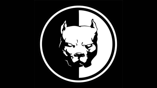 Питбуль смотра наклейка