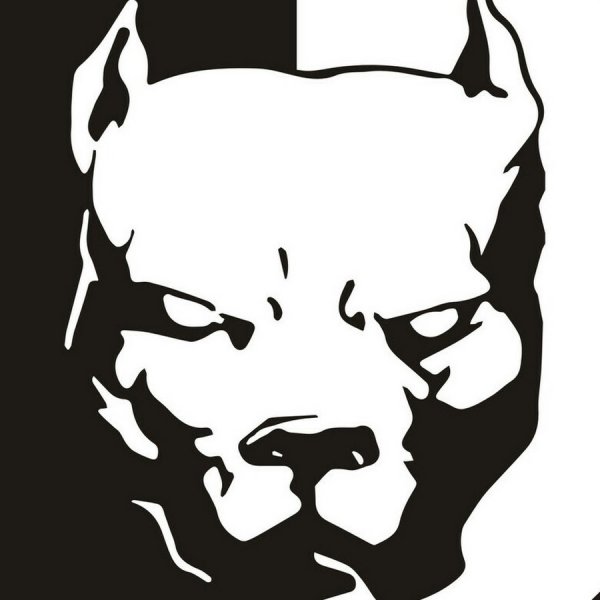 Наклейки питбуля