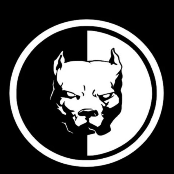 Питбуль черно белый