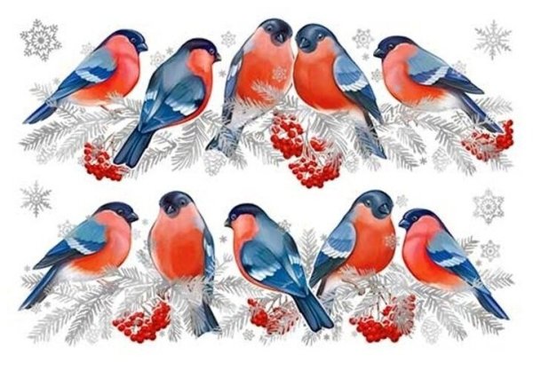 Наклейки стикер Снегирь