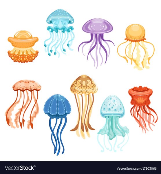 Медуза рисунок для детей цветной