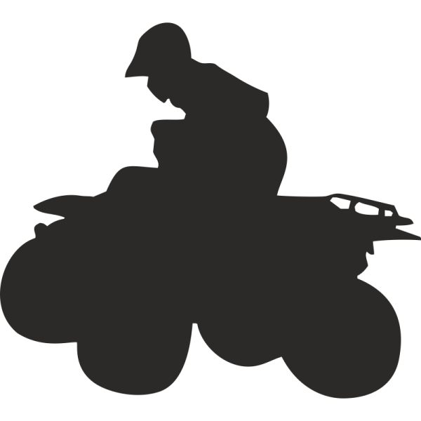 Наклейки для Кавасаки брут Форс 750