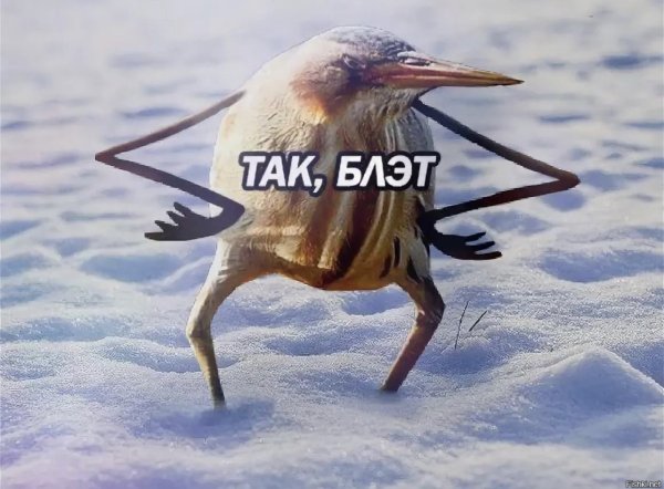 Табличка на сиденье не садиться