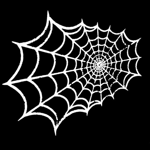 Наклейка в паутине голографическая