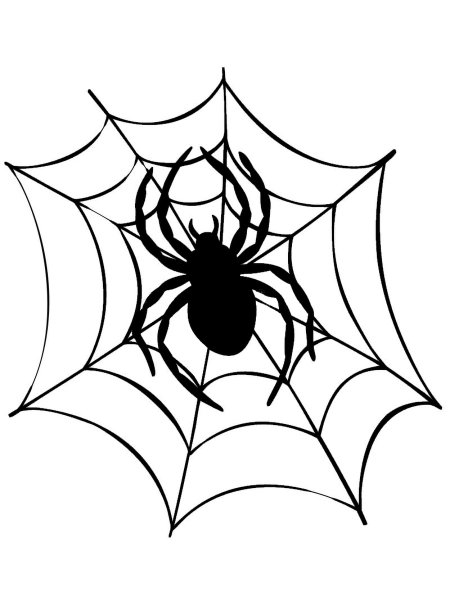 Паутина рисунок