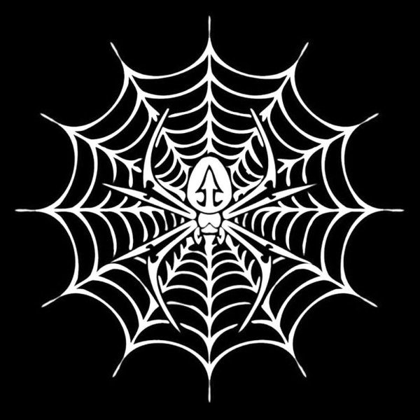 Наклейка паутина КС го