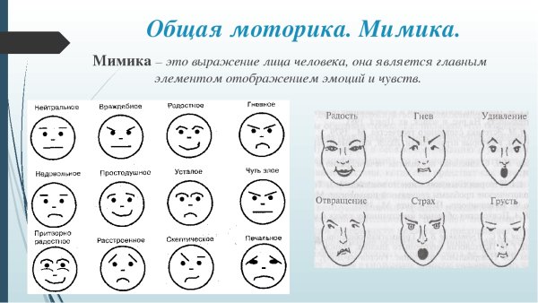 Мимика лица психология человека