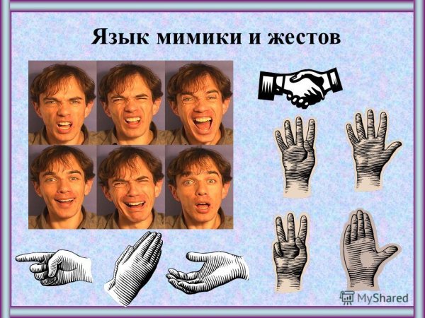 Мимика и жесты