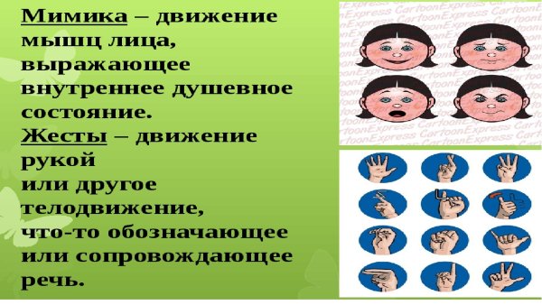 Невербальное общение мимика лица