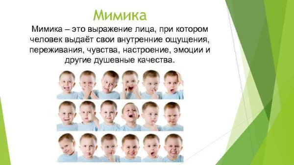 Слова мимикой