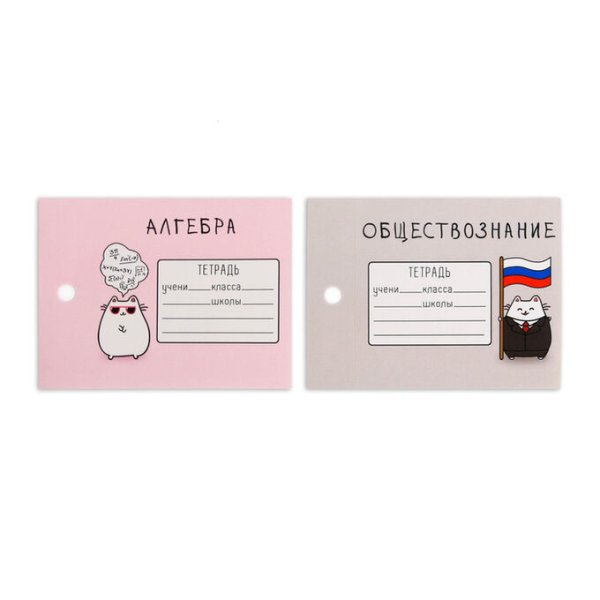 Наклейки на тетрадь для подписи