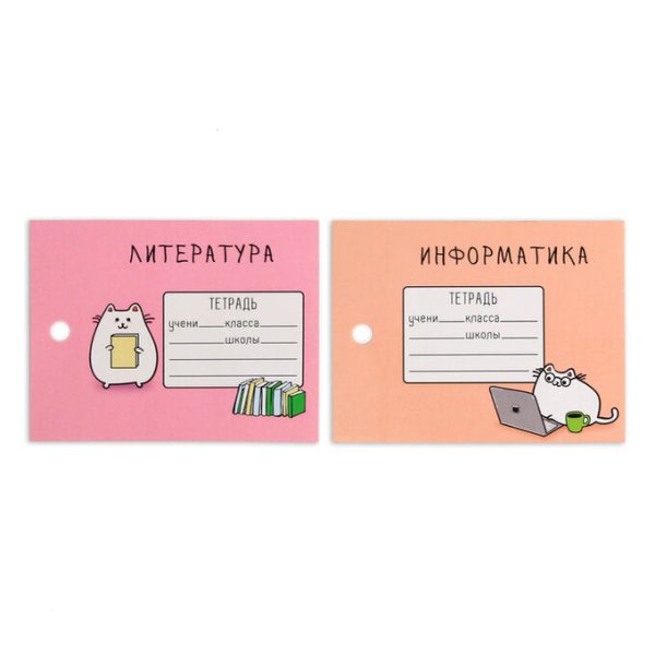 Этикетки для школьных тетрадей