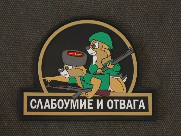 Наклейка слабоумие и отвага чип и Дейл