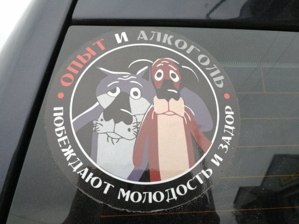 Слабоумие и отвага