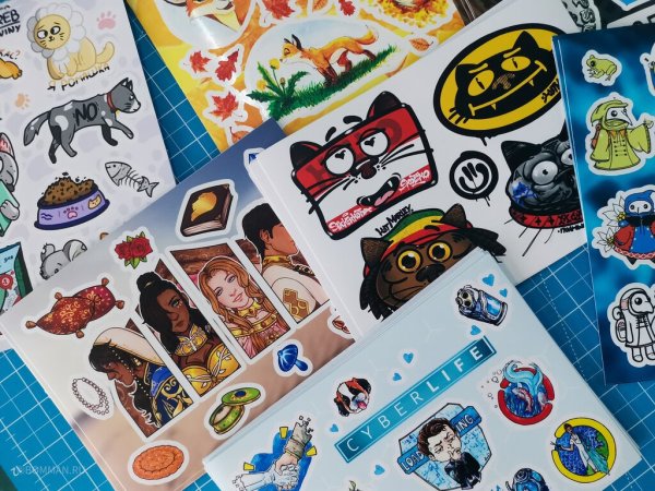 Нано пленка на номерной знак