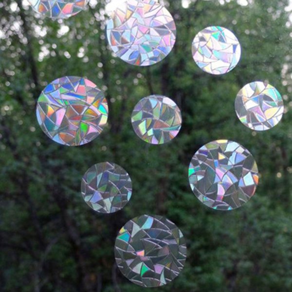 Плёнка на окна декоративная