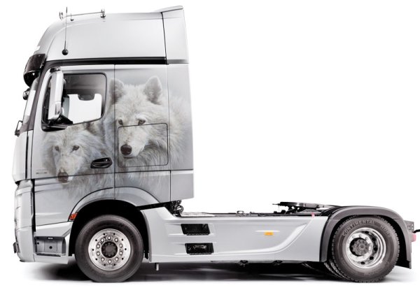 Кенгурятник на МАЗ 5440