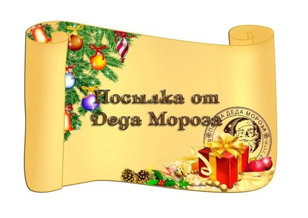 Пакет подарок от Деда Мороза