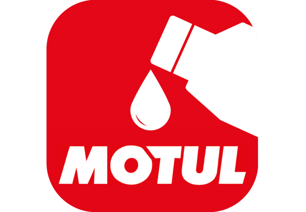 Винил Motul