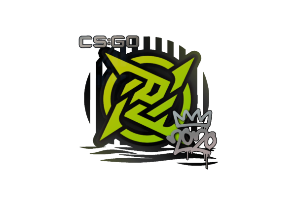 RMR 2020 CS go капсулы