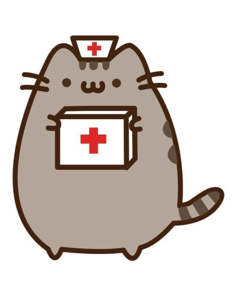 Котик Пушин доктор