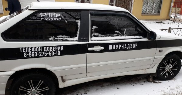 Наклейки на авто ШКУРНАДЗОР