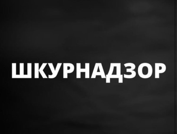 ШКУРНАДЗОР обложка