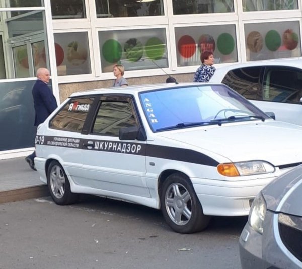 ШКУРНАДЗОР ВАЗ 2114