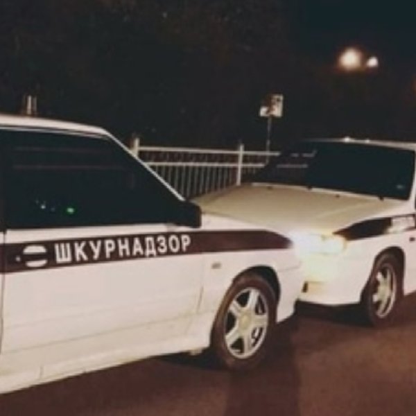 ШКУРНАДЗОР ВАЗ 2114
