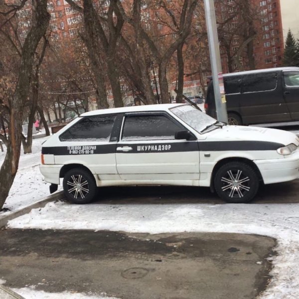 ШКУРНАДЗОР авто