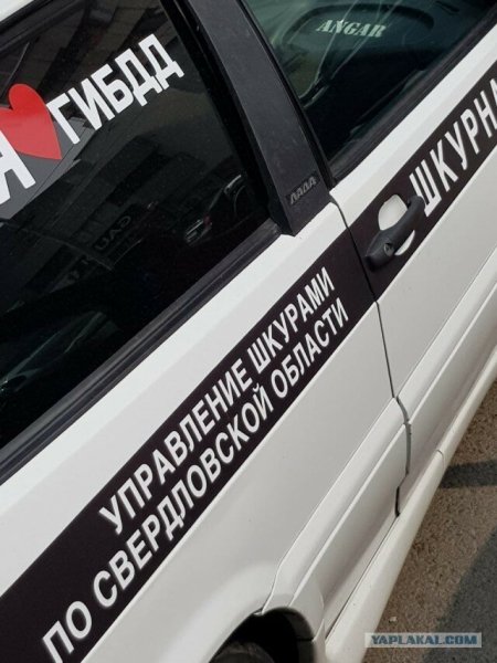 ШКУРНАДЗОР кофта