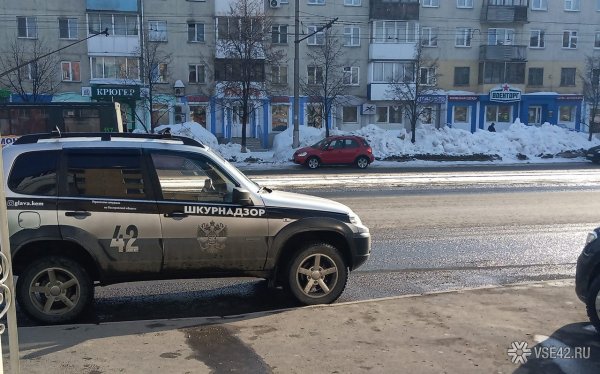 ШКУРНАДЗОР ВАЗ 2114