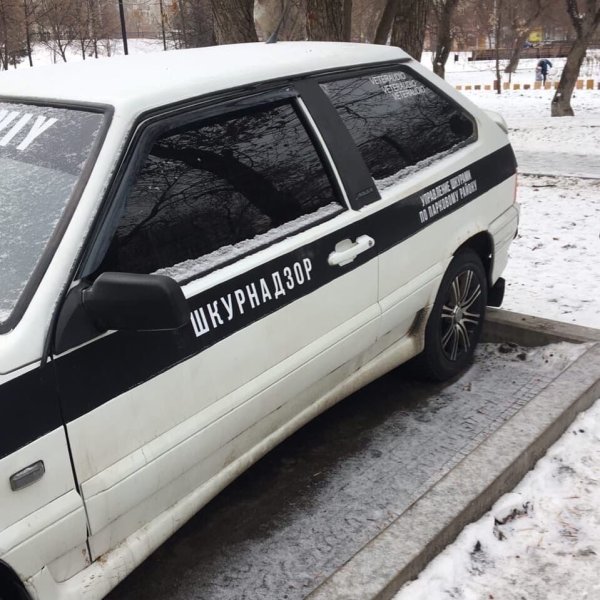 Надпись ШКУРНАДЗОР