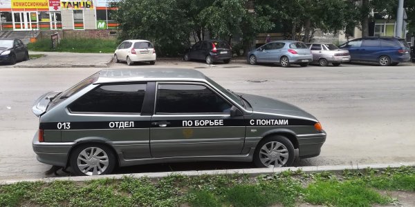 Наклейка ШКУРНАДЗОР на лобовое