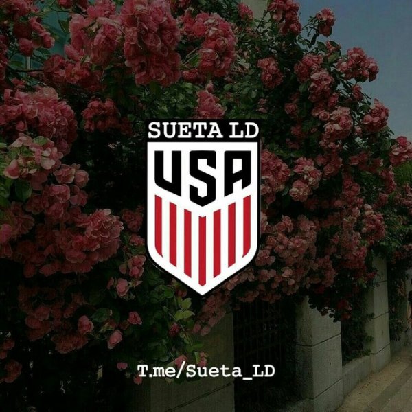 Суета надпись