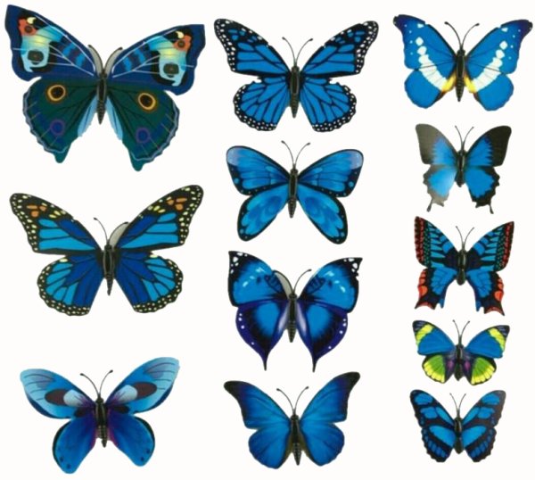 Бабочки для декора