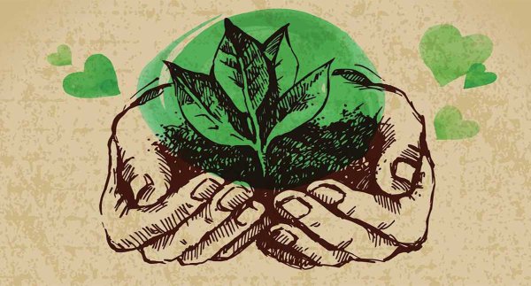 Стикеры зеленого цвета