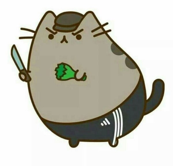 Кот Пушин гопник