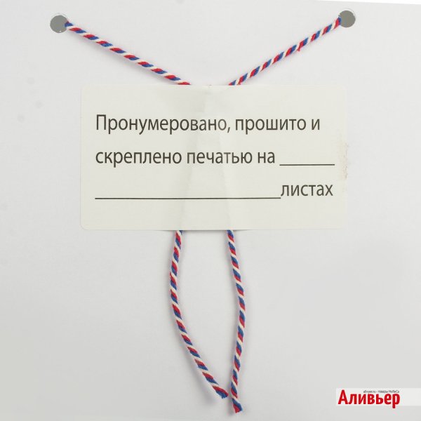 Пронумеровано и прошнуровано страниц