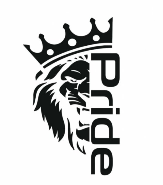 Наклейки для РСД