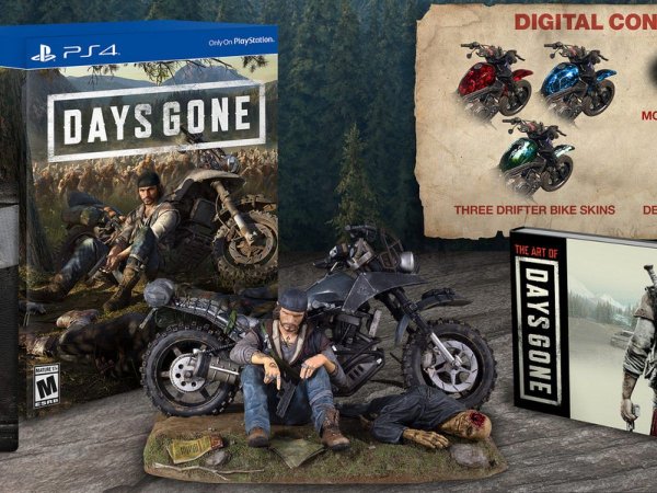Коллекционная игра Days gone