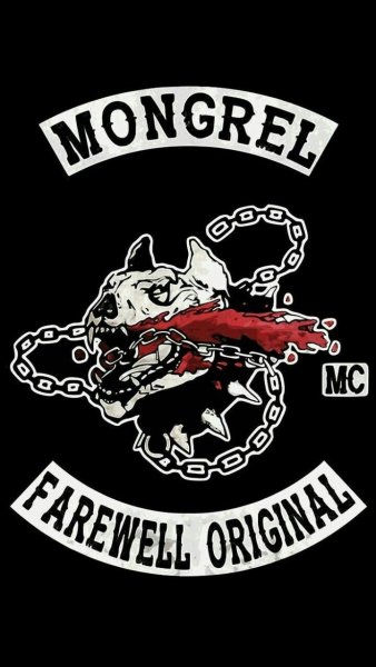 Days gone миссии