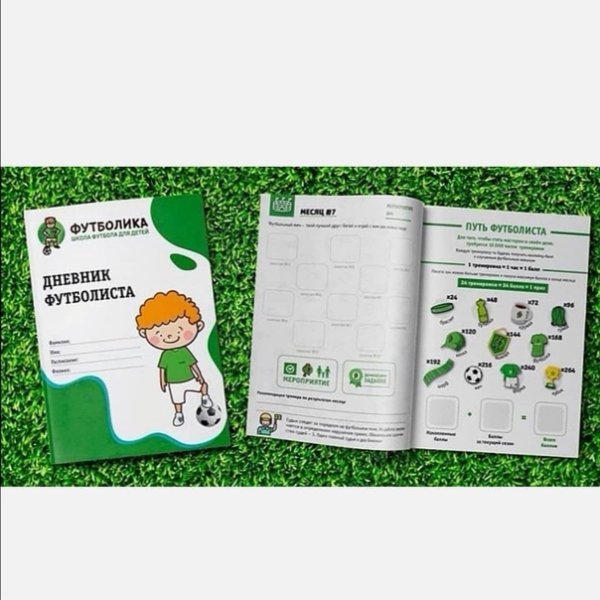 Дневник юного футболиста