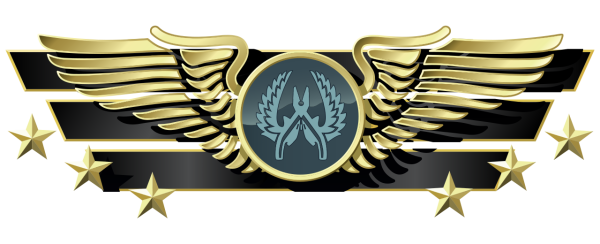 Суприм звание в КС го