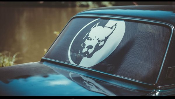 ВАЗ 2107 питбуль